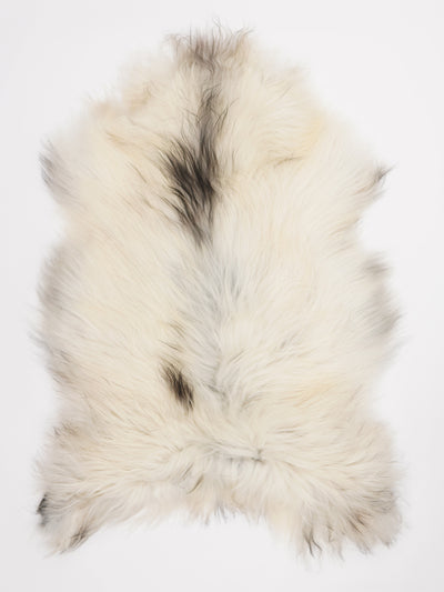 Icelandic sheepskin XL