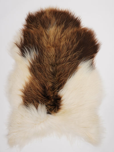 Icelandic sheepskin XXL