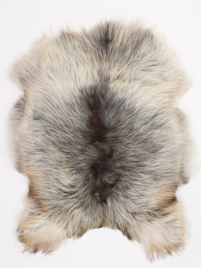 Icelandic sheepskin XXL