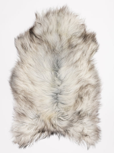 Icelandic sheepskin XXL