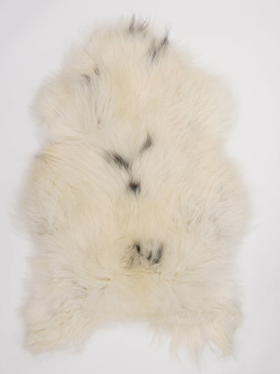 Icelandic sheepskin XL