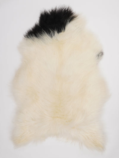 Icelandic Multicolour Sheepskin Rug XXL