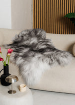 Icelandic mouflon sheepskin rug