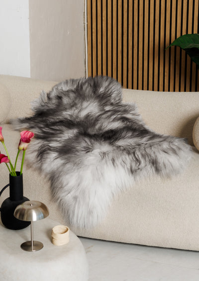 Icelandic mouflon sheepskin rug