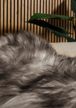 Icelandic mouflon sheepskin rug