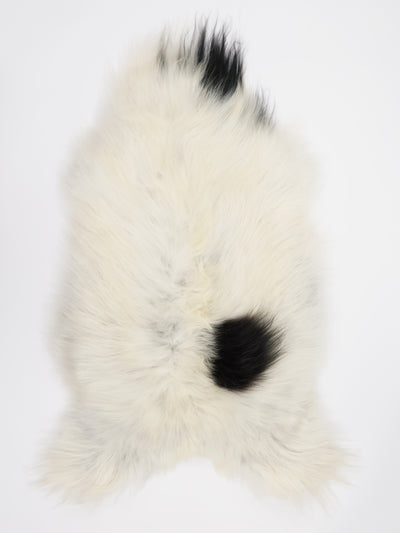 Icelandic sheepskin XL