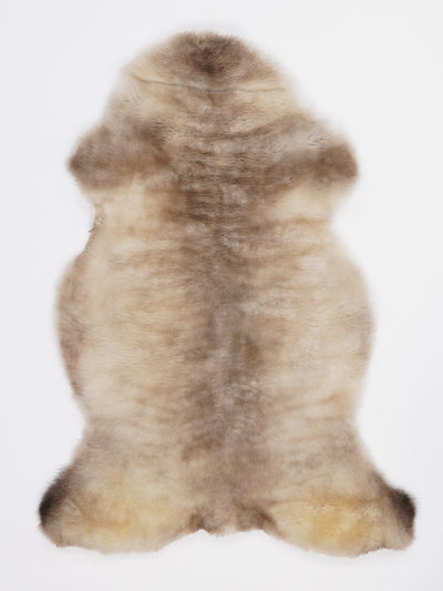 Multi-coloured sheepskin L