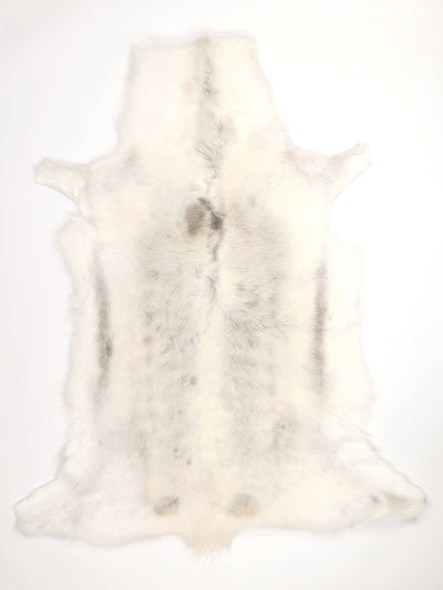 Reindeer Hide XXL