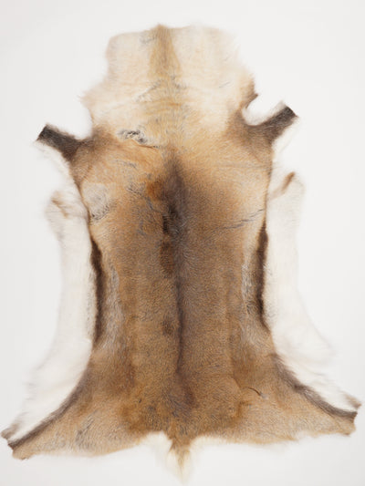 Reindeer Hide XXL