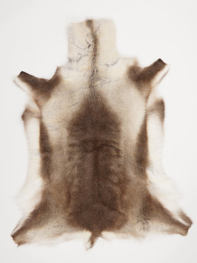 Reindeer Hide XXL