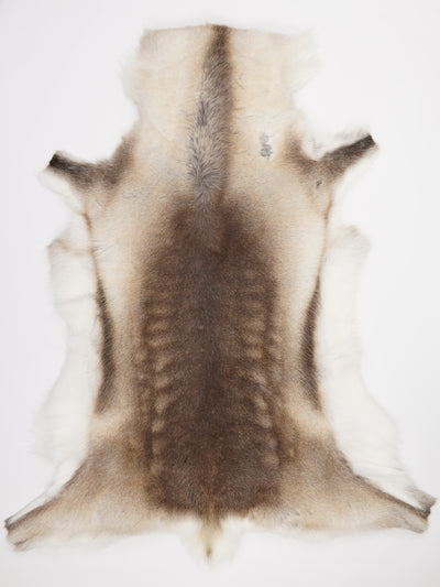 Reindeer Hide XXXL