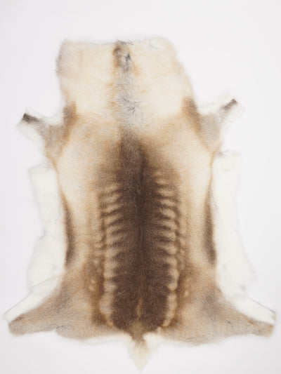 Reindeer Hide XL