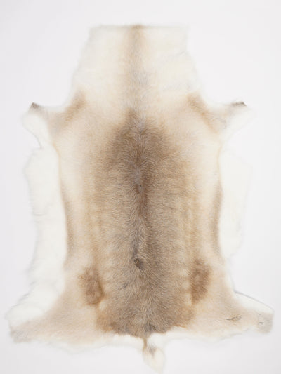 Reindeer Hide XXL