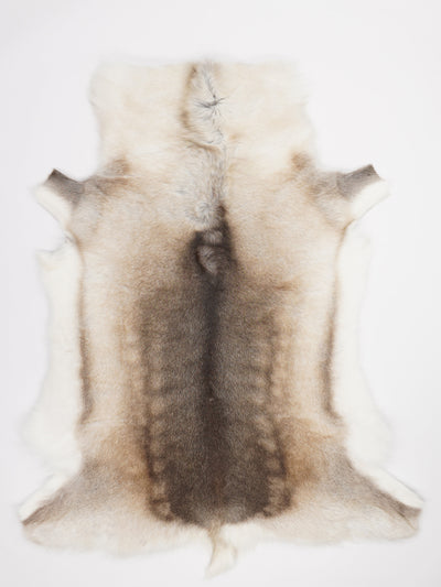 Reindeer Hide XXL