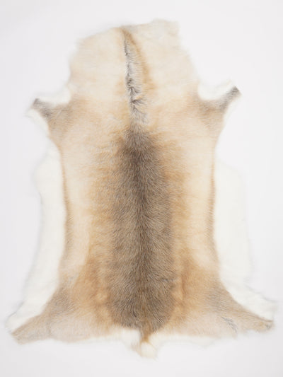 Reindeer Hide XXL