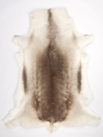 Reindeer Hide XXXL