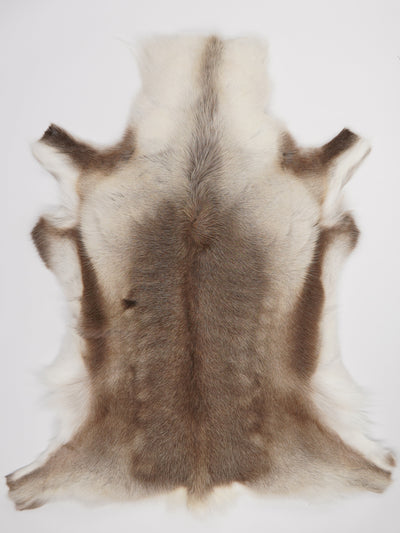 Reindeer Hide XXL