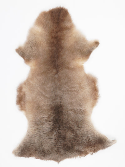 Multi-coloured sheepskin L