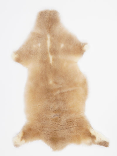 Multi-coloured sheepskin L