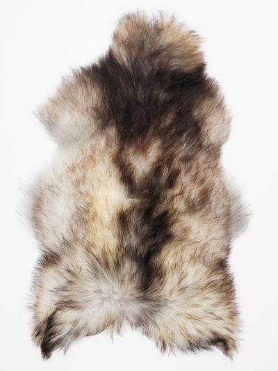 Pelle di pecora grigia islandese XL