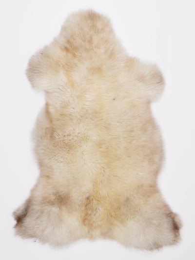 Pelle di pecora multicolore L