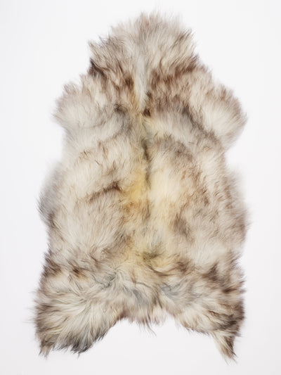 Pelle di pecora islandese multicolore XXL