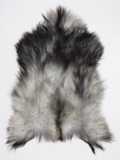 Pelle di pecora grigia islandese L