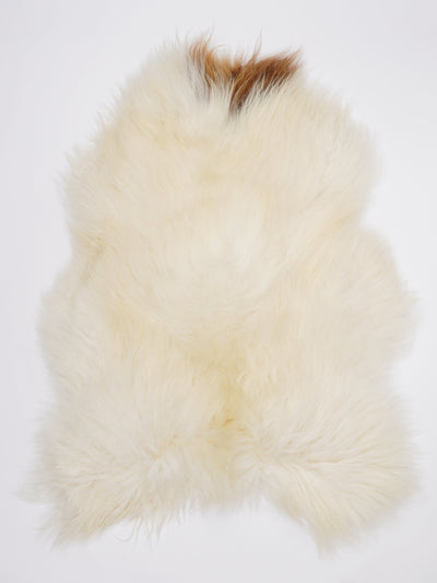 Pelle di pecora islandese multicolore L