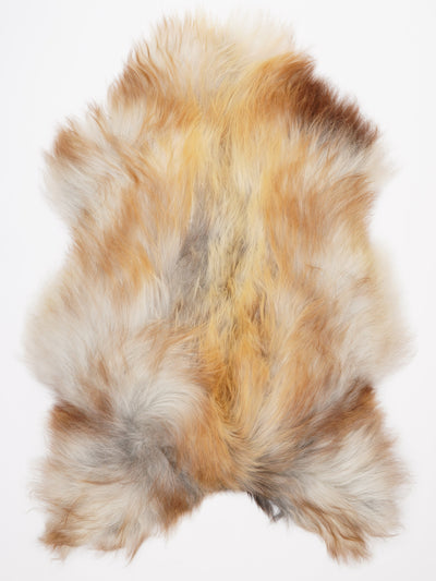 Pelle di pecora islandese multicolore XXL