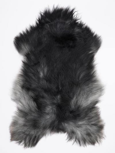 Pelle di pecora grigia islandese XL