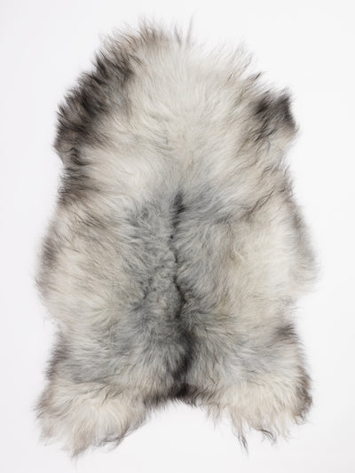 Pelle di pecora grigia islandese XL