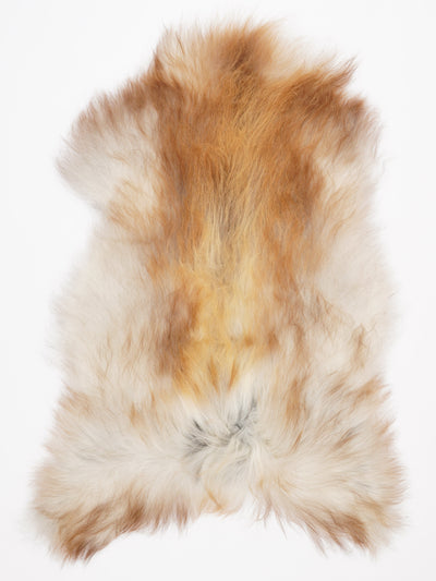 Pelle di pecora islandese multicolore XXL