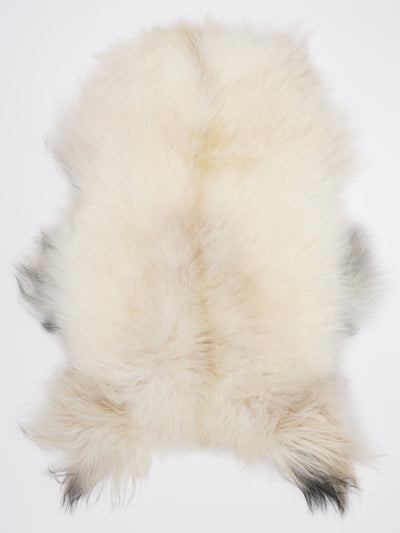 Pelle di pecora islandese multicolore L