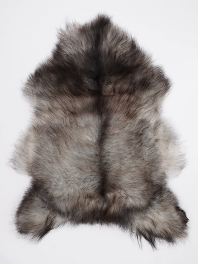 Pelle di pecora grigia islandese L