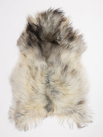 Pelle di pecora grigia islandese XL