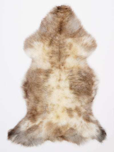 Pelle di pecora multicolore L