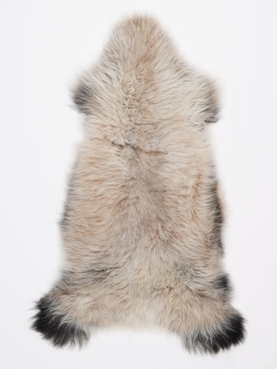 Pelle di pecora multicolore L