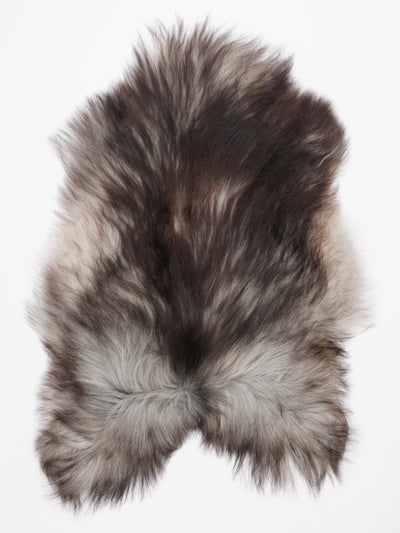 Pelle di pecora grigia islandese XL