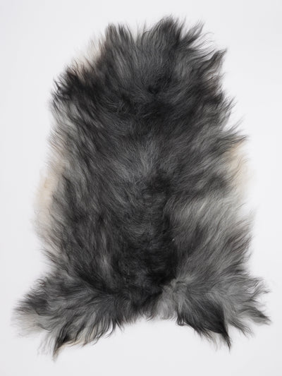 Pelle di pecora grigia islandese L