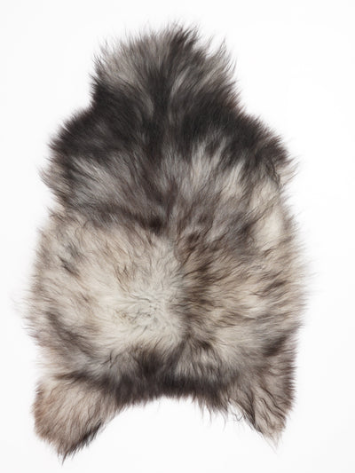 Pelle di pecora grigia islandese XL