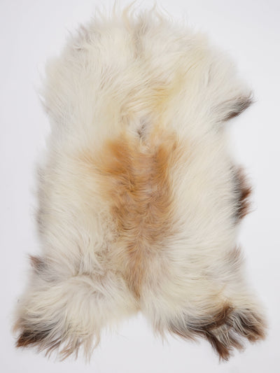 Icelandic Multicoloured Sheepskin Rug XL
