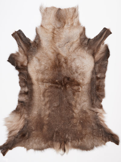 Reindeer Hide XXXL
