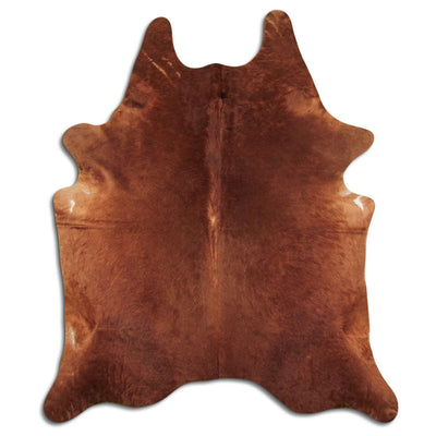 Pelle bovina marrone XXXL