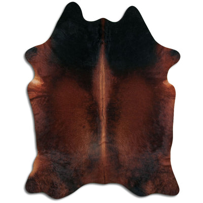 Pelle bovina marrone XL