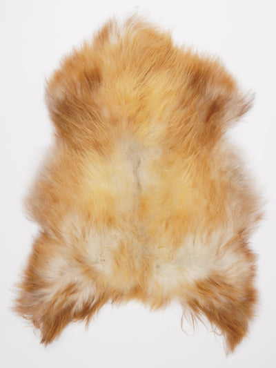 Pelle di pecora islandese multicolore L