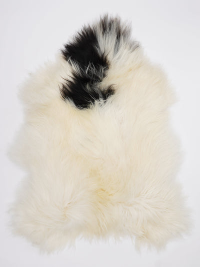 Pelle di pecora islandese multicolore L