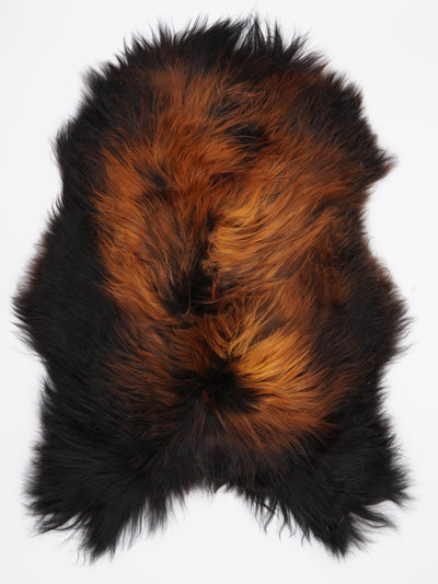 Icelandic Multicoloured Sheepskin Rug XL