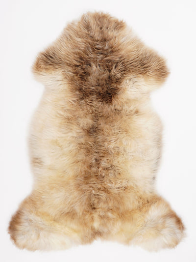 Multicolour Sheepskin Rug L