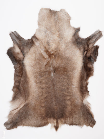 Reindeer Hide XXXL