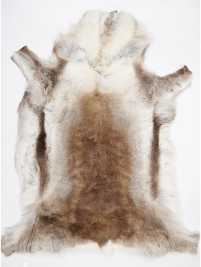 Pelle di renna XXXXL